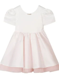 Dress with Puff Sleeves and Full Skirt