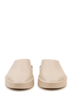 Essentials California Slides