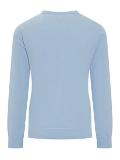 Long Sleeve Crewneck Sweater