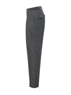 Pants with Pleats and Straight Leg