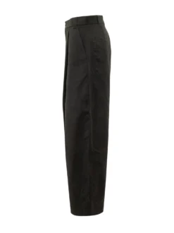 Pleated Front Pants