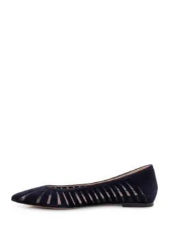 Pointed Ballet Flats with Sheer Panels