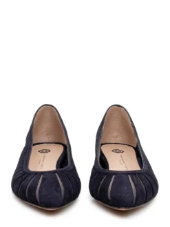 Pointed Ballet Flats with Sheer Panels