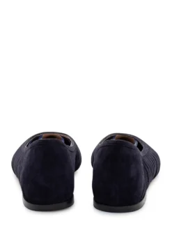Pointed Ballet Flats with Sheer Panels