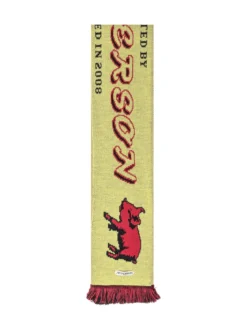 Scarf With Graphic Motif