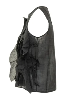 Sheer Top with Ruffles