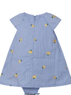 Short Sleeve Dress with Bodysuit and Lemon Embroidery