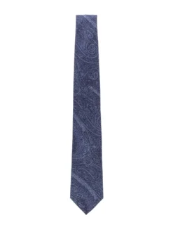 Silk Paisley Tie
