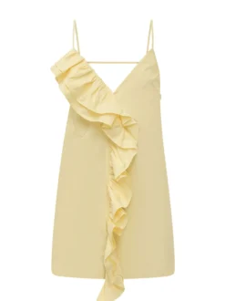 Sleeveless Dress with Floral Embellishments