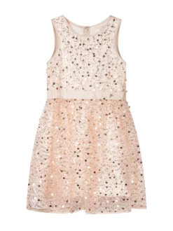 Sleeveless Sequin Dress