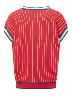 Sleeveless Sweater with V Neck
