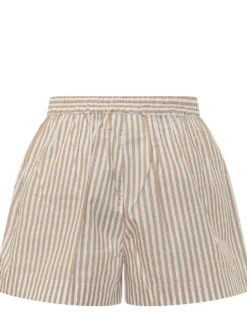 Striped Shorts with Pleats